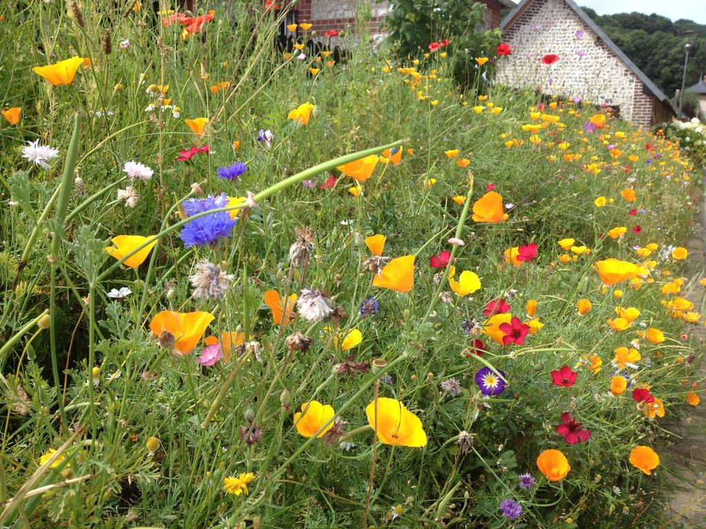 La Flore De Lys, Cottage Ideal Pour 2 Adultes Et 2 Enfants Saint-Jouin-Bruneval 外观 照片